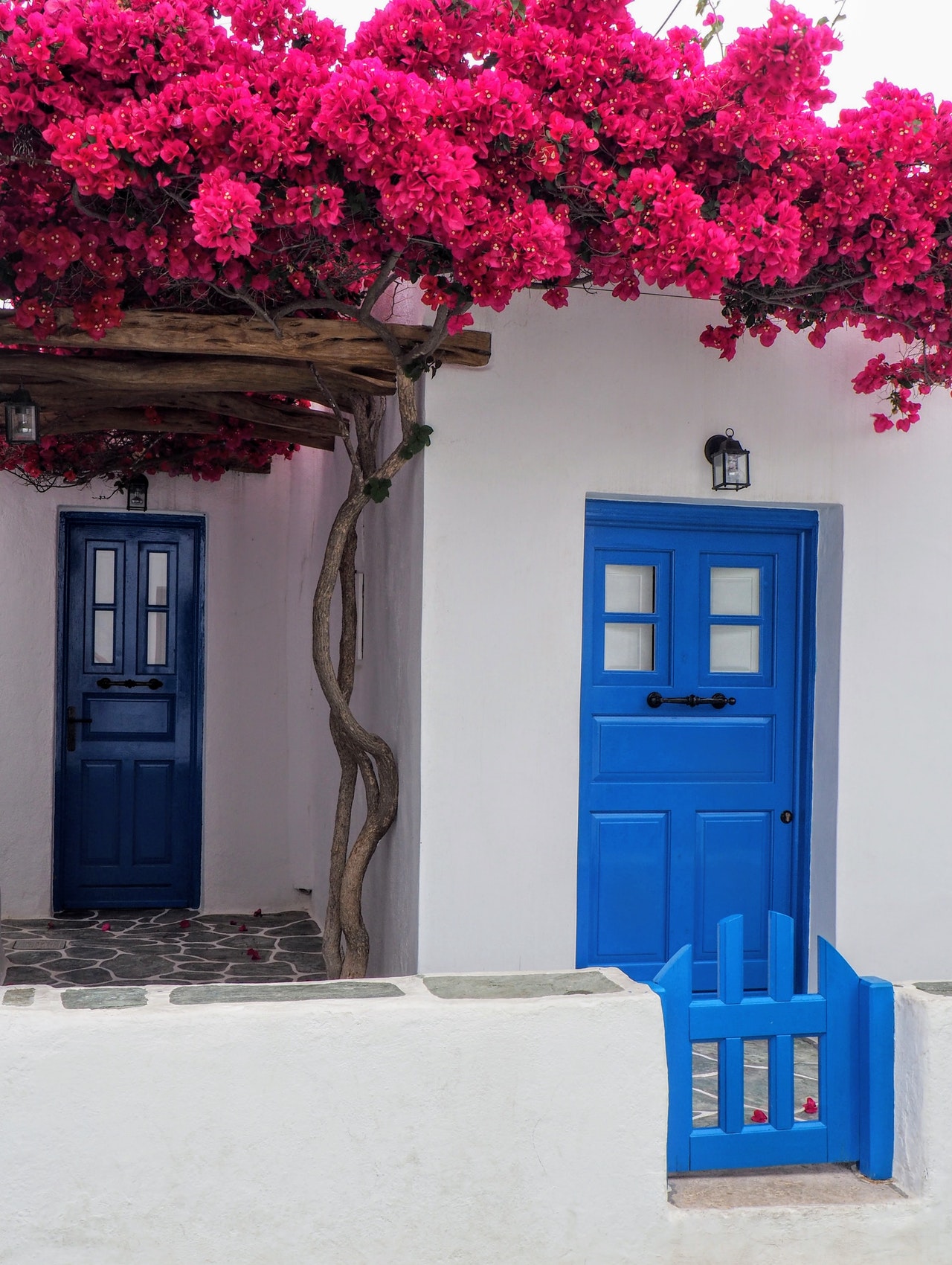 porte d'entrée de couleur bleu