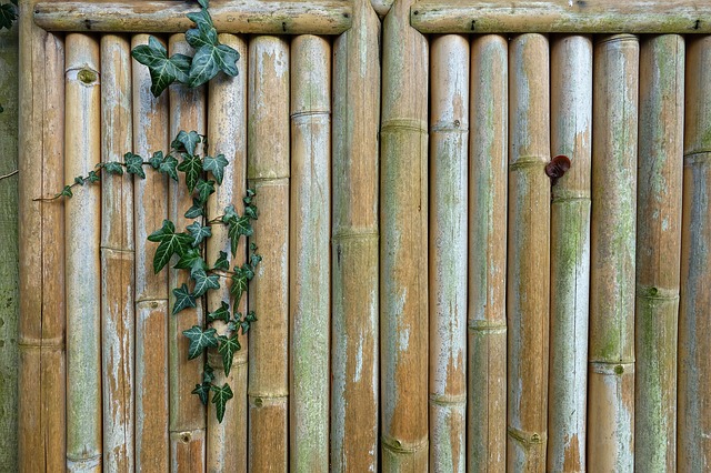 clôture en bambou